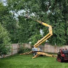 Best Stump Grinding and Removal  in Greenville, GA