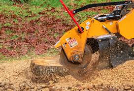 Professional Tree Care in Greenville, GA